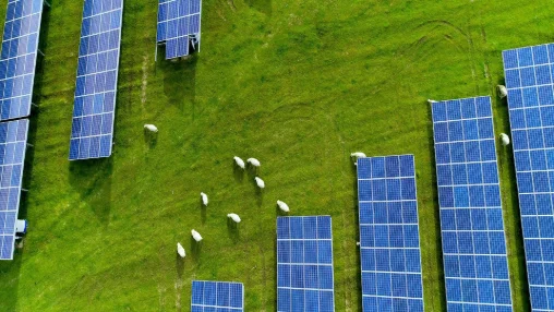 L’énergie solaire au service de l’élevage